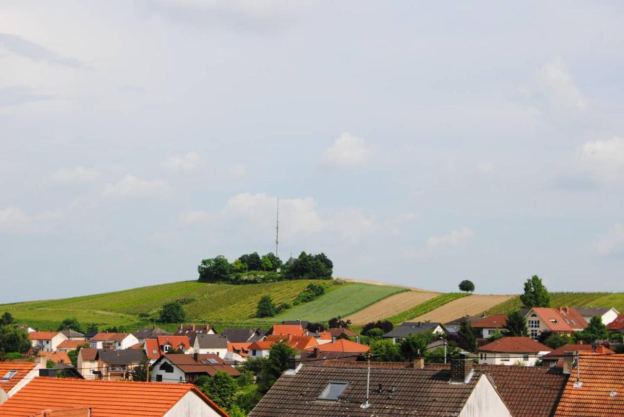 Ferienwohnung Kirchbergblick Hackenheim Exteriér fotografie